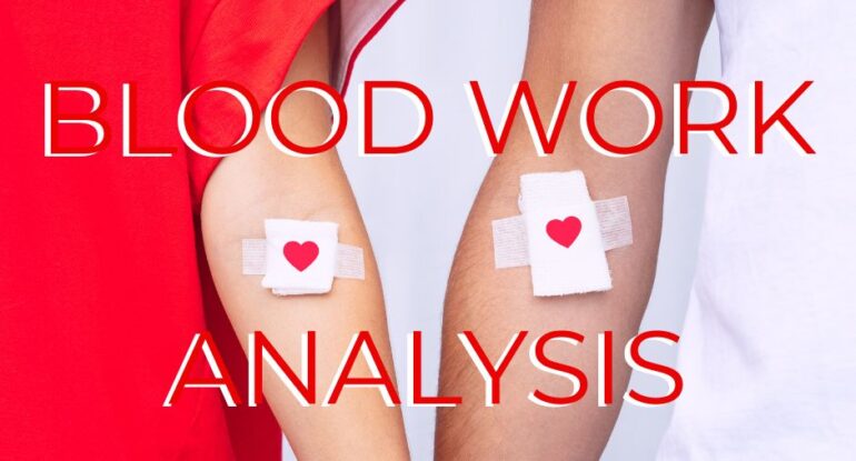 Annual blood work analysis vitality health sfl