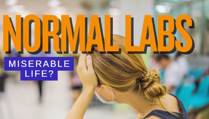 Normal labs, miserable life - when things dont add up Vitality health bloodwork analysis Vitality health SFL