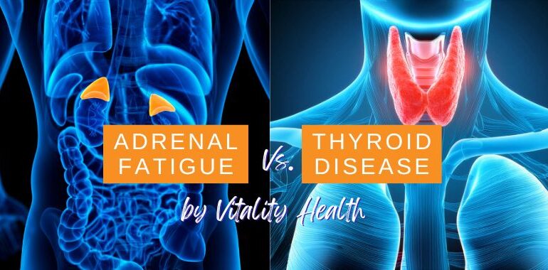 Adrenal Fatigue vs. Thyroid Issues What South Florida Patients Need to Know, Vitality Health SFL